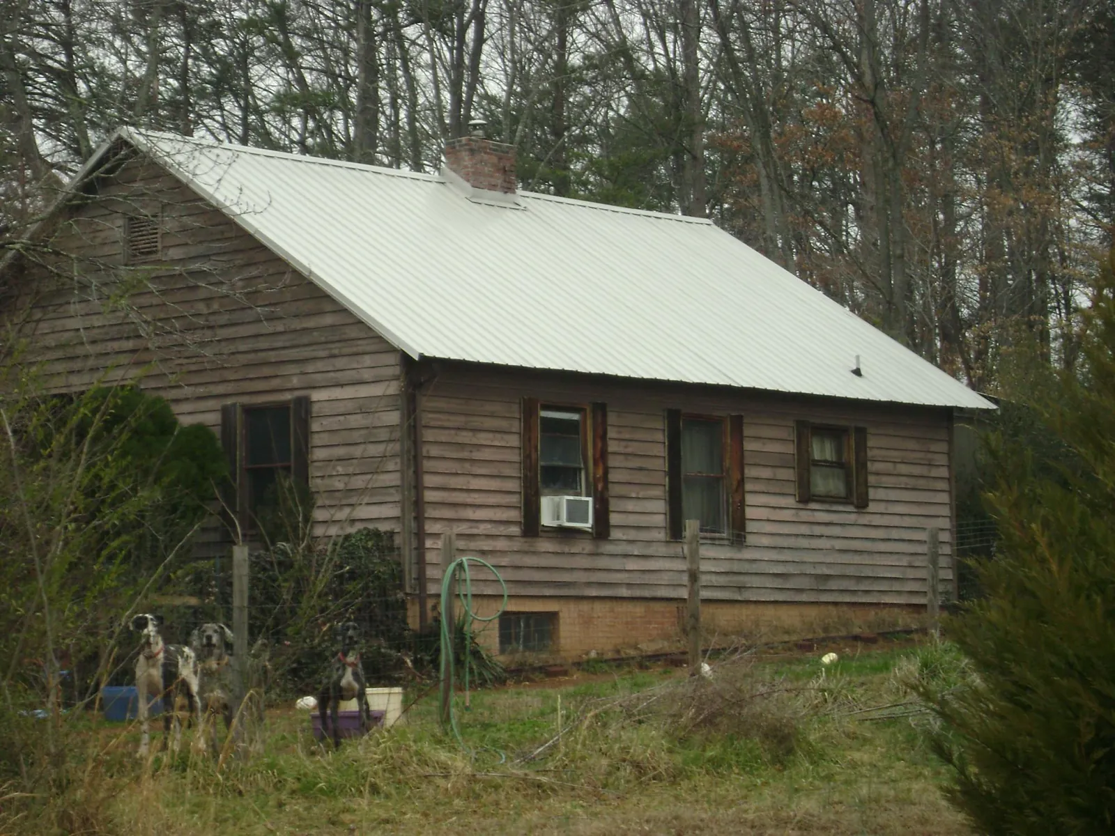 White metal roof on an old wood sided farmhouse, from a Asphalt Shingle Roof Repair job in Lewis
